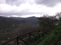 cantara gurne23122011 225